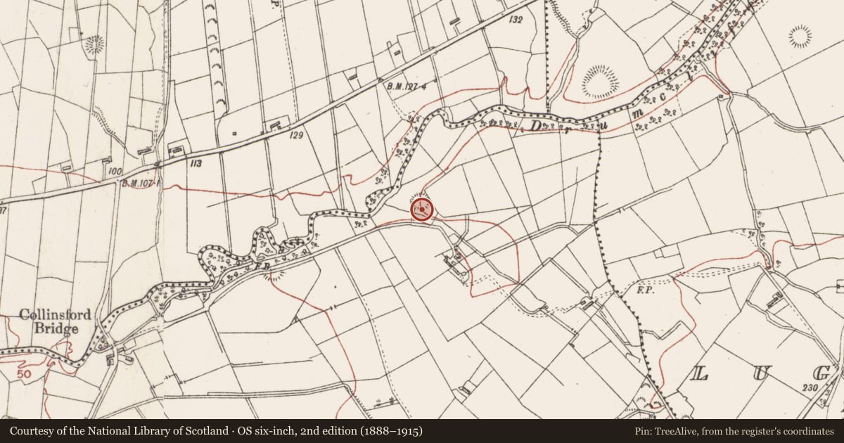 Ordnance Survey six-inch map, 2nd edition (1888–1915) covering the location of Ringfort - unclassified, Collinsford, County Sligo, with a pin at the register's coordinates