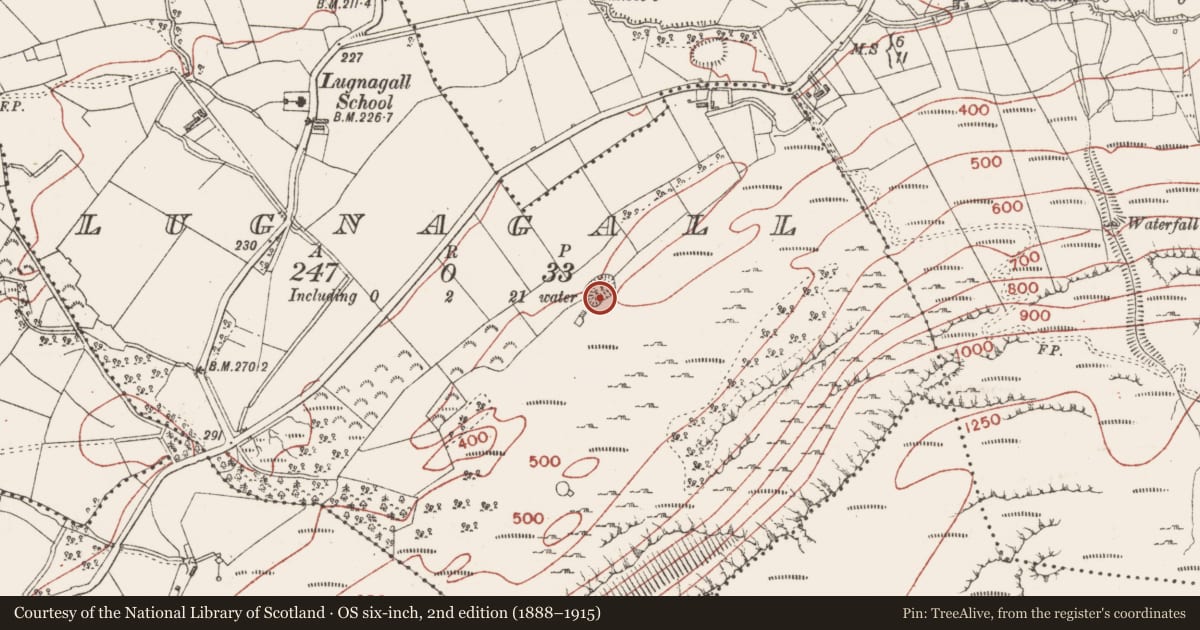 Ordnance Survey six-inch map, 2nd edition (1888–1915) covering the location of Ringfort - rath, Lugnagall, County Sligo, with a pin at the register's coordinates