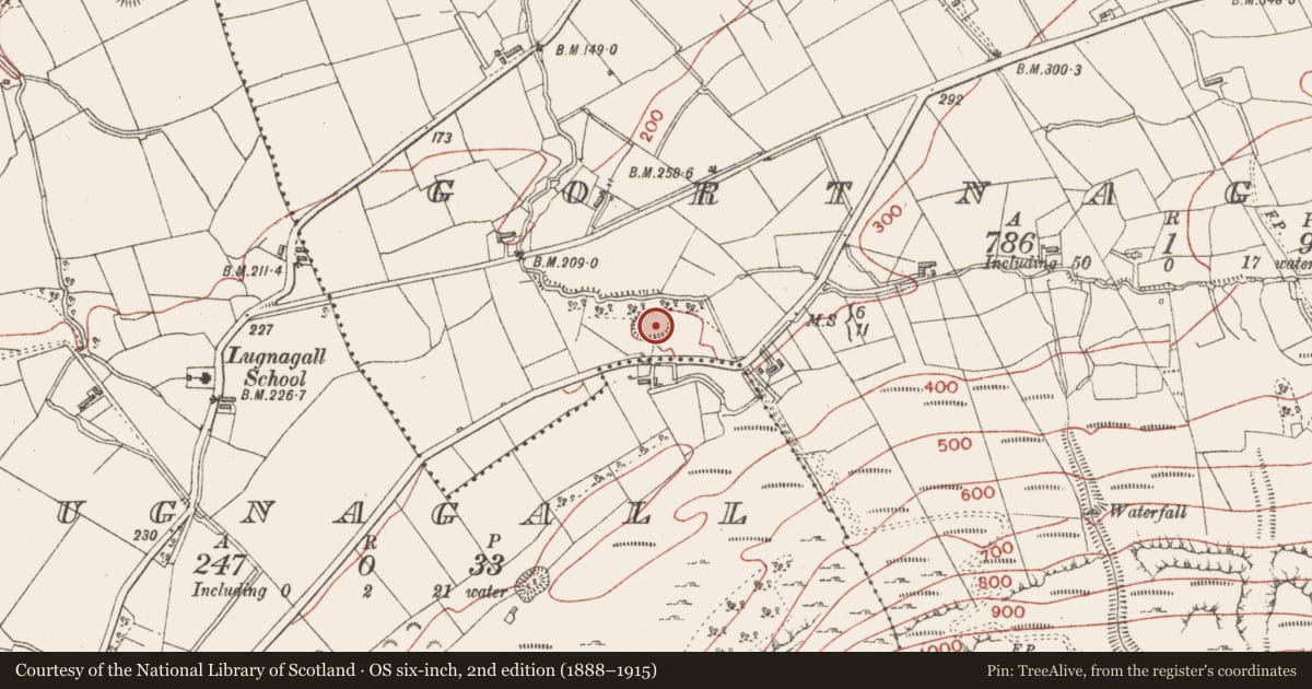 Ordnance Survey six-inch map, 2nd edition (1888–1915) covering the location of Ringfort - rath, Gortnagrelly, County Sligo, with a pin at the register's coordinates