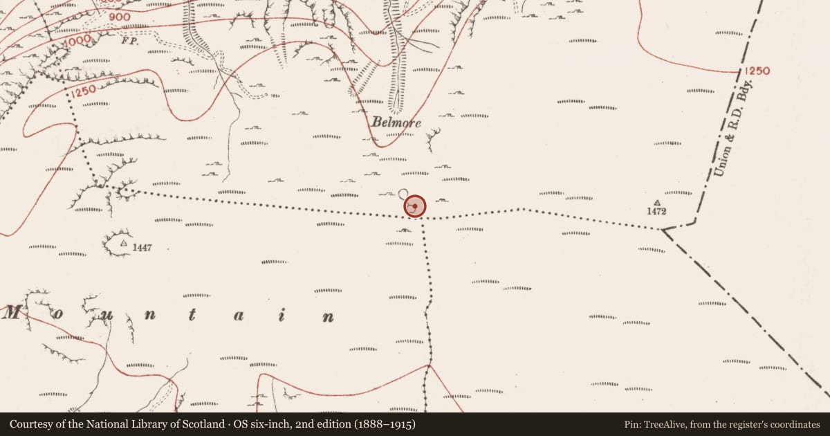 Ordnance Survey six-inch map, 2nd edition (1888–1915) covering the location of Field boundary, Gortnagrelly, County Sligo, with a pin at the register's coordinates