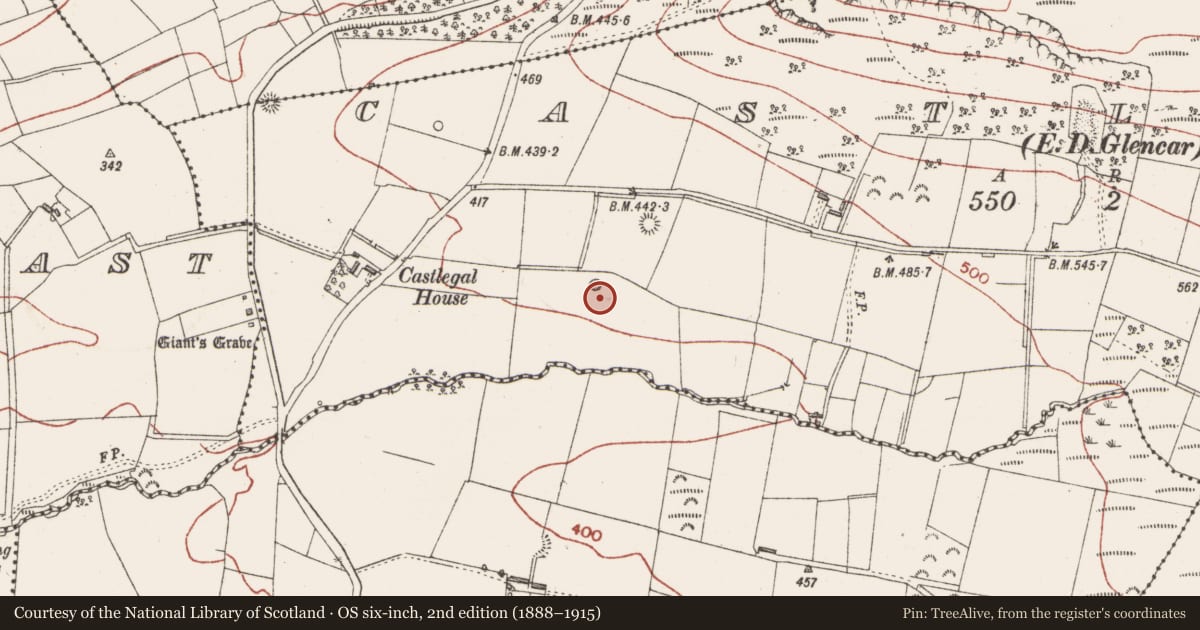 Ordnance Survey six-inch map, 2nd edition (1888–1915) covering the location of Ringfort - rath, Castlegal, County Sligo, with a pin at the register's coordinates