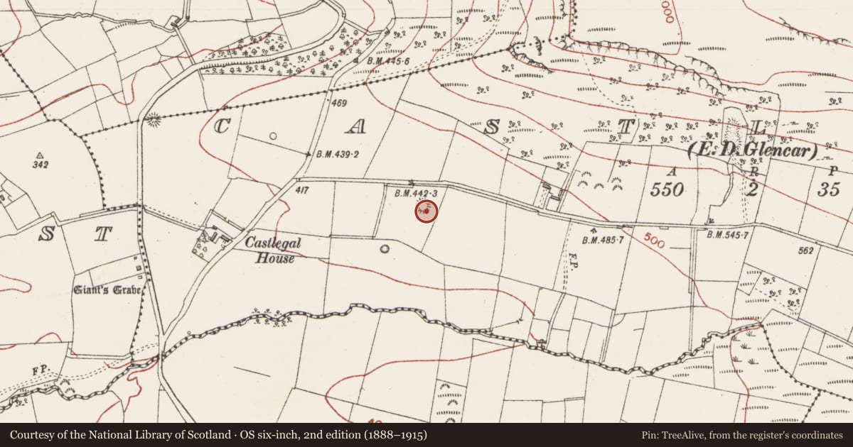 Ordnance Survey six-inch map, 2nd edition (1888–1915) covering the location of Barrow - embanked barrow, Castlegal, County Sligo, with a pin at the register's coordinates