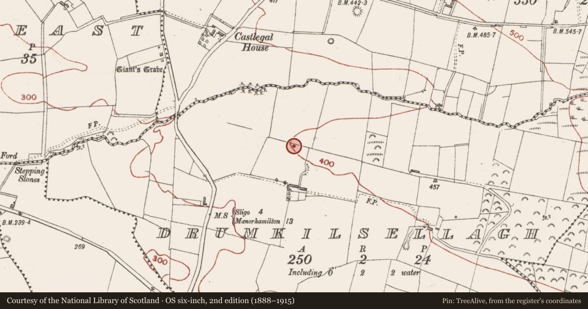 Ordnance Survey six-inch map, 2nd edition (1888–1915) covering the location of Megalithic tomb - wedge tomb, Drumkilsellagh, County Sligo, with a pin at the register's coordinates