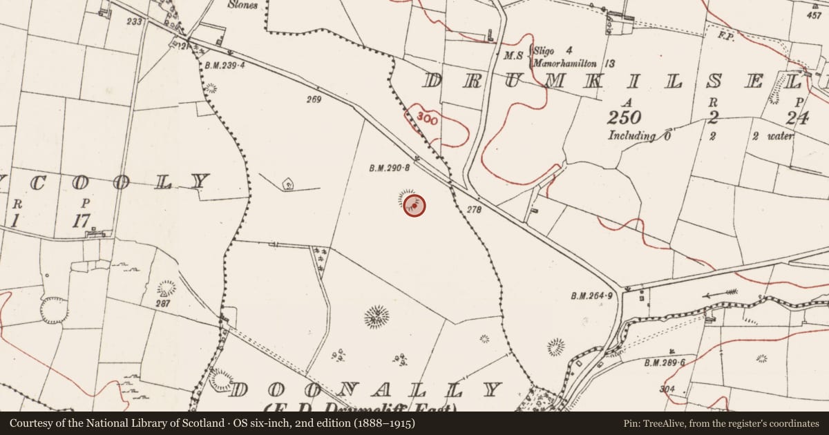 Ordnance Survey six-inch map, 2nd edition (1888–1915) covering the location of Ringfort - rath, Doonally, County Sligo, with a pin at the register's coordinates