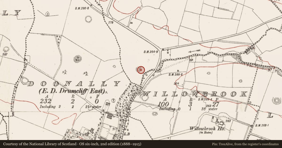 Ordnance Survey six-inch map, 2nd edition (1888–1915) covering the location of Ringfort - unclassified, Drumkilsellagh, County Sligo, with a pin at the register's coordinates