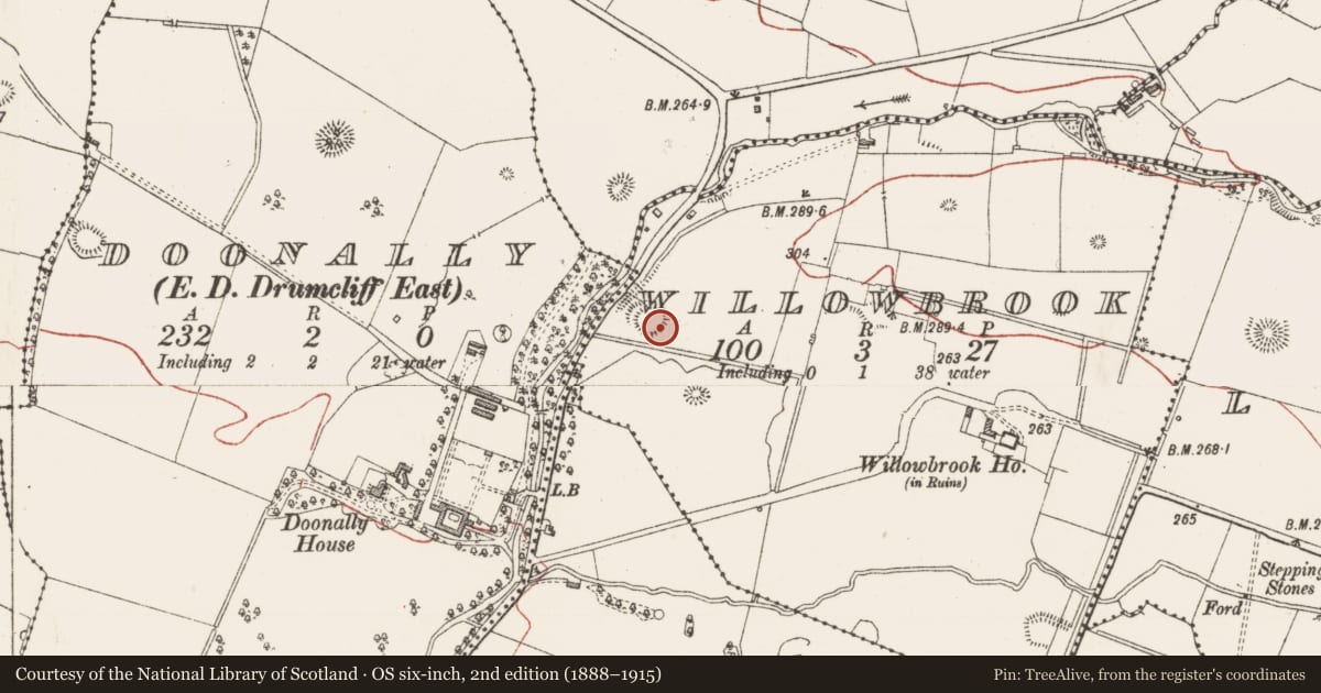 Ordnance Survey six-inch map, 2nd edition (1888–1915) covering the location of Ringfort - rath, Willowbrook, County Sligo, with a pin at the register's coordinates