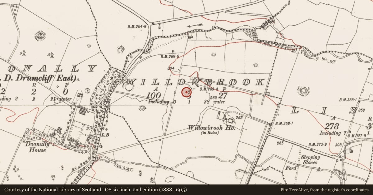 Ordnance Survey six-inch map, 2nd edition (1888–1915) covering the location of Enclosure, Willowbrook, County Sligo, with a pin at the register's coordinates