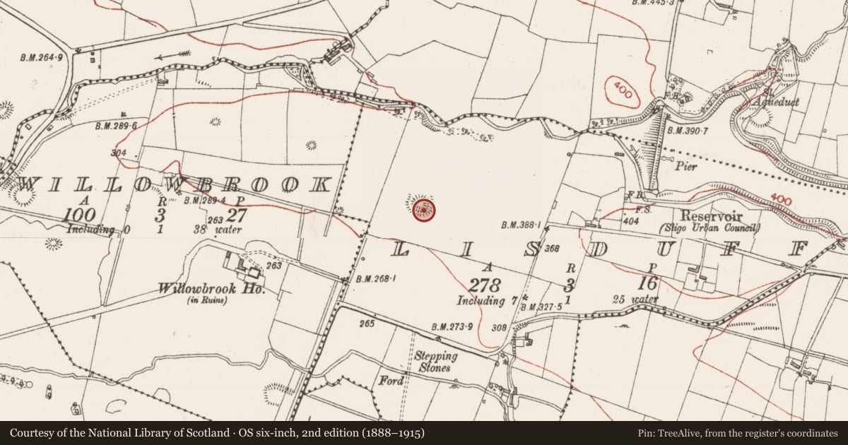 Ordnance Survey six-inch map, 2nd edition (1888–1915) covering the location of Ringfort - rath, Lisduff, County Sligo, with a pin at the register's coordinates