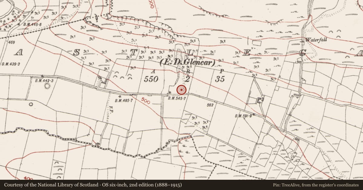 Ordnance Survey six-inch map, 2nd edition (1888–1915) covering the location of Megalithic tomb - court tomb, Castlegal, County Sligo, with a pin at the register's coordinates