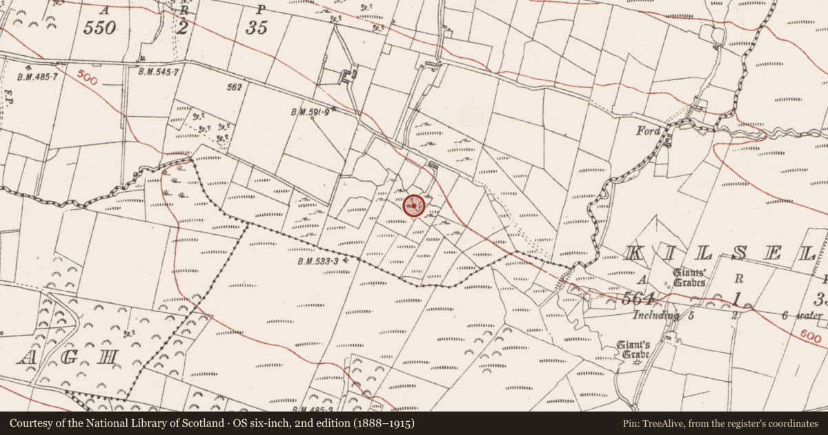 Ordnance Survey six-inch map, 2nd edition (1888–1915) covering the location of Ringfort - unclassified, Castlegal, County Sligo, with a pin at the register's coordinates
