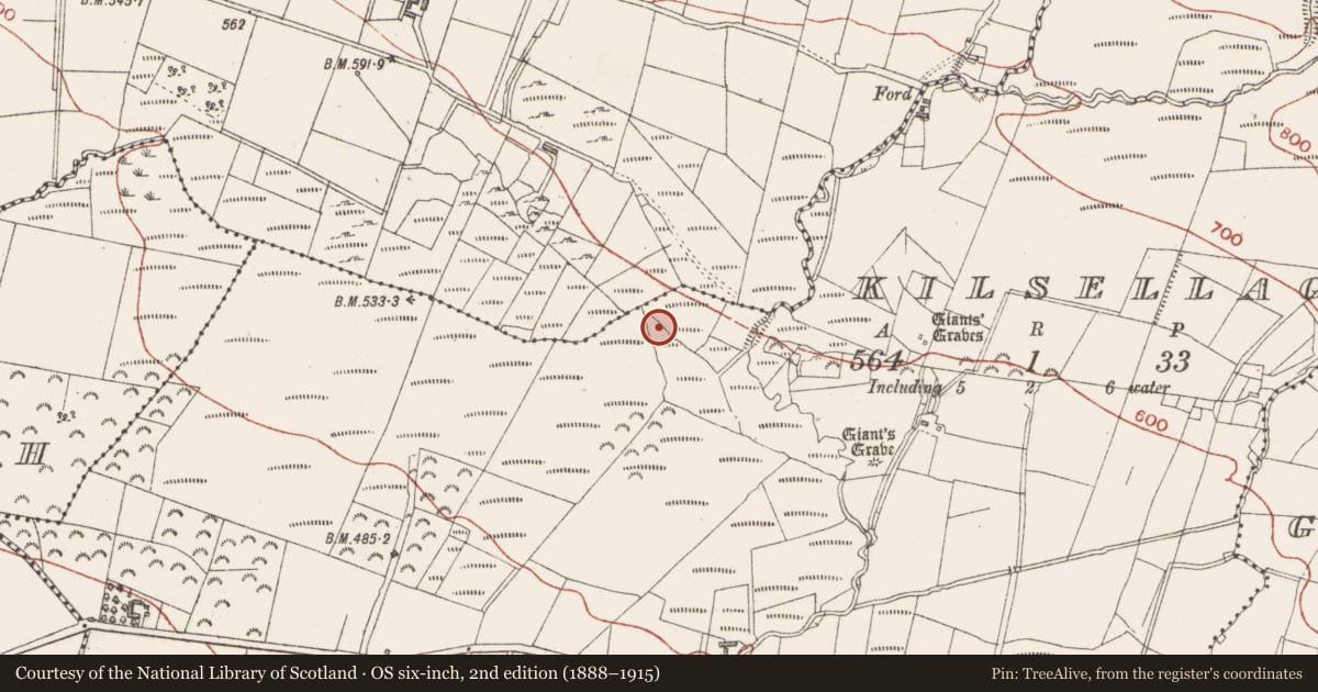 Ordnance Survey six-inch map, 2nd edition (1888–1915) covering the location of Megalithic tomb - wedge tomb, Kilsellagh, County Sligo, with a pin at the register's coordinates