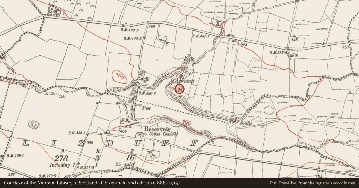 Ordnance Survey six-inch map, 2nd edition (1888–1915) covering the location of Ringfort - rath, Kilsellagh, County Sligo, with a pin at the register's coordinates