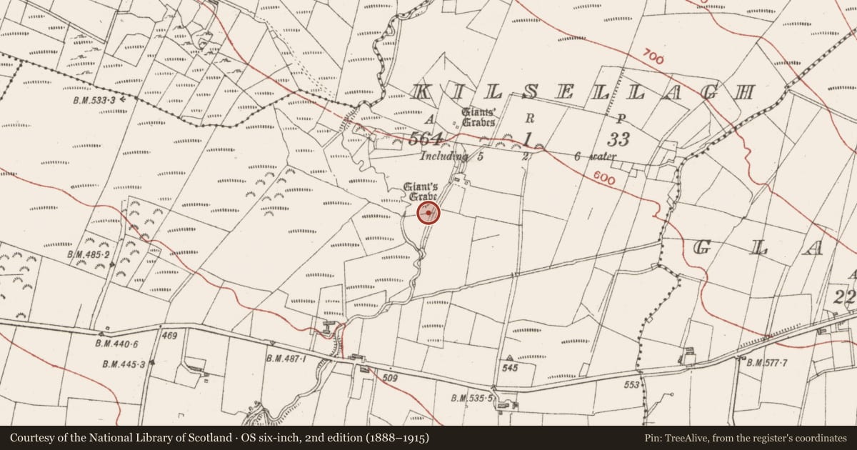 Ordnance Survey six-inch map, 2nd edition (1888–1915) covering the location of Megalithic tomb - wedge tomb, Kilsellagh, County Sligo, with a pin at the register's coordinates