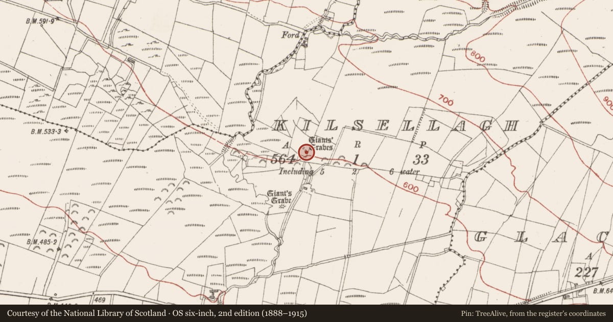 Ordnance Survey six-inch map, 2nd edition (1888–1915) covering the location of Megalithic tomb - court tomb, Kilsellagh, County Sligo, with a pin at the register's coordinates