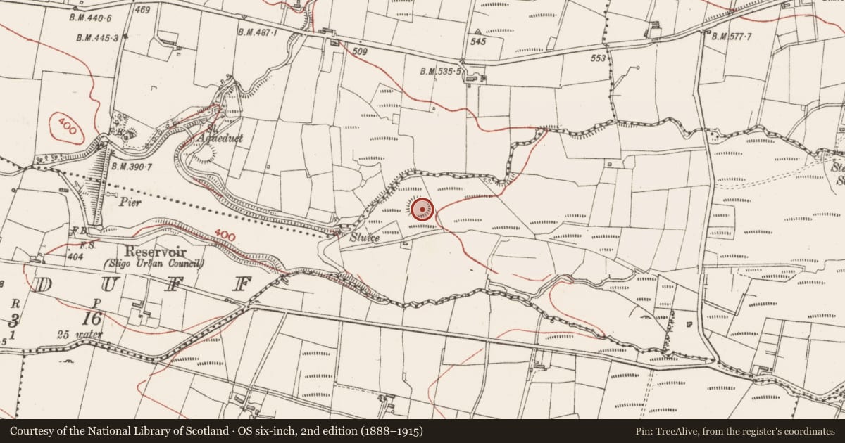 Ordnance Survey six-inch map, 2nd edition (1888–1915) covering the location of Ringfort - rath, Lisduff, County Sligo, with a pin at the register's coordinates