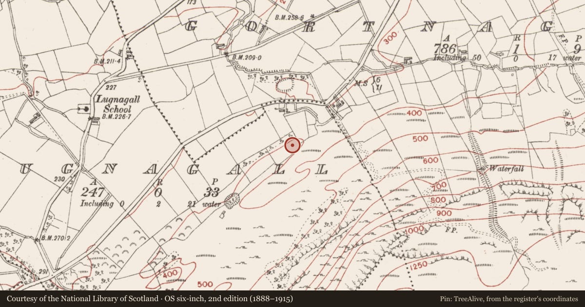Ordnance Survey six-inch map, 2nd edition (1888–1915) covering the location of Ringfort - cashel, Lugnagall, County Sligo, with a pin at the register's coordinates