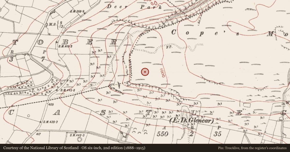 Ordnance Survey six-inch map, 2nd edition (1888–1915) covering the location of Standing stone, Castlegal, County Sligo, with a pin at the register's coordinates