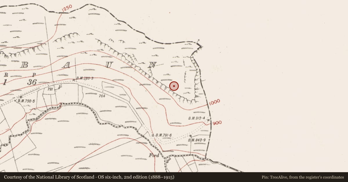 Ordnance Survey six-inch map, 2nd edition (1888–1915) covering the location of Enclosure, Edenbaun, County Sligo, with a pin at the register's coordinates