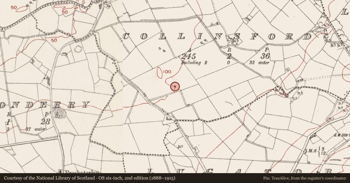 Ordnance Survey six-inch map, 2nd edition (1888–1915) covering the location of Enclosure, Collinsford, County Sligo, with a pin at the register's coordinates