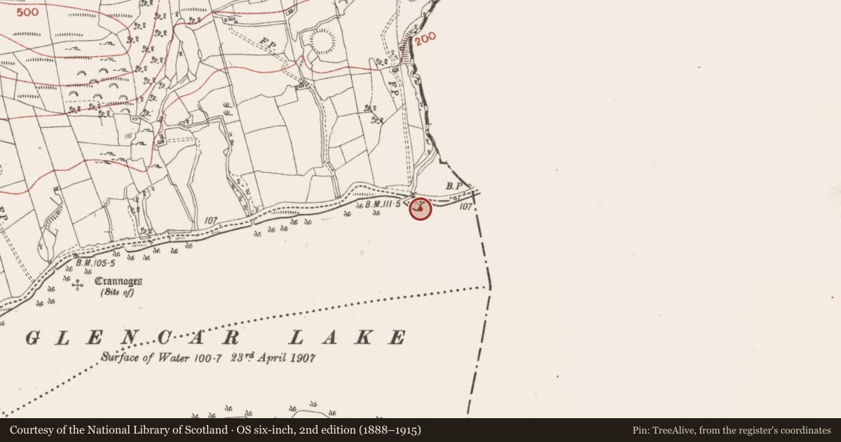 Ordnance Survey six-inch map, 2nd edition (1888–1915) covering the location of Prehistoric site - lithic scatter, Tormore, County Sligo, with a pin at the register's coordinates