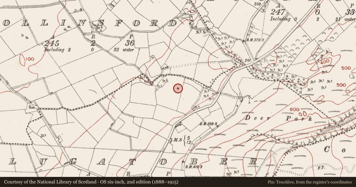 Ordnance Survey six-inch map, 2nd edition (1888–1915) covering the location of Enclosure, Lugatober, County Sligo, with a pin at the register's coordinates