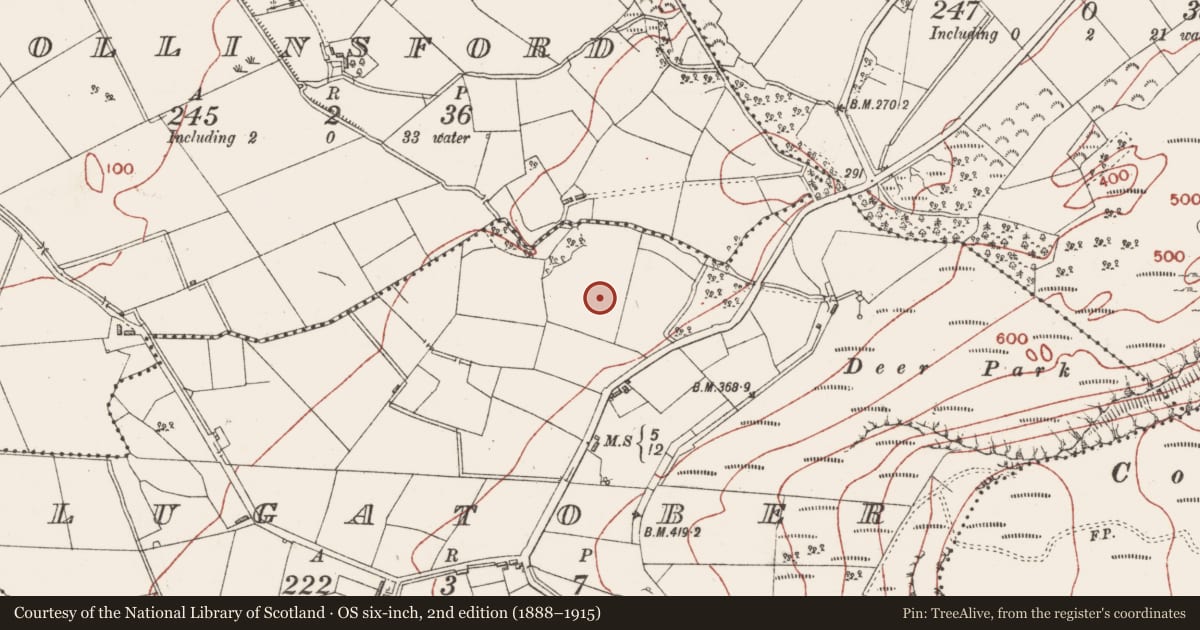 Ordnance Survey six-inch map, 2nd edition (1888–1915) covering the location of Ring-ditch, Lugatober, County Sligo, with a pin at the register's coordinates