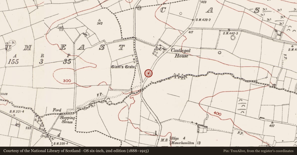 Ordnance Survey six-inch map, 2nd edition (1888–1915) covering the location of Structure, Castlegal, County Sligo, with a pin at the register's coordinates