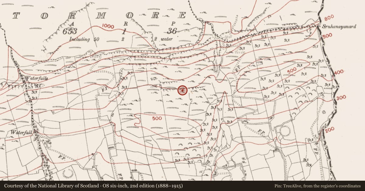 Ordnance Survey six-inch map, 2nd edition (1888–1915) covering the location of Cave, Tormore, County Sligo, with a pin at the register's coordinates