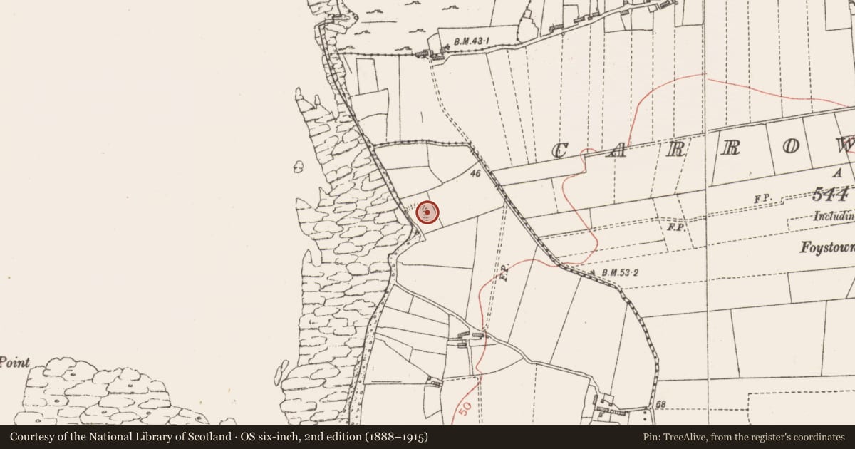 Ordnance Survey six-inch map, 2nd edition (1888–1915) covering the location of Enclosure, Rathlee, County Sligo, with a pin at the register's coordinates