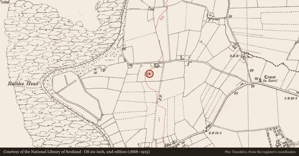 Ordnance Survey six-inch map, 2nd edition (1888–1915) covering the location of Midden, Rathlee, County Sligo, with a pin at the register's coordinates