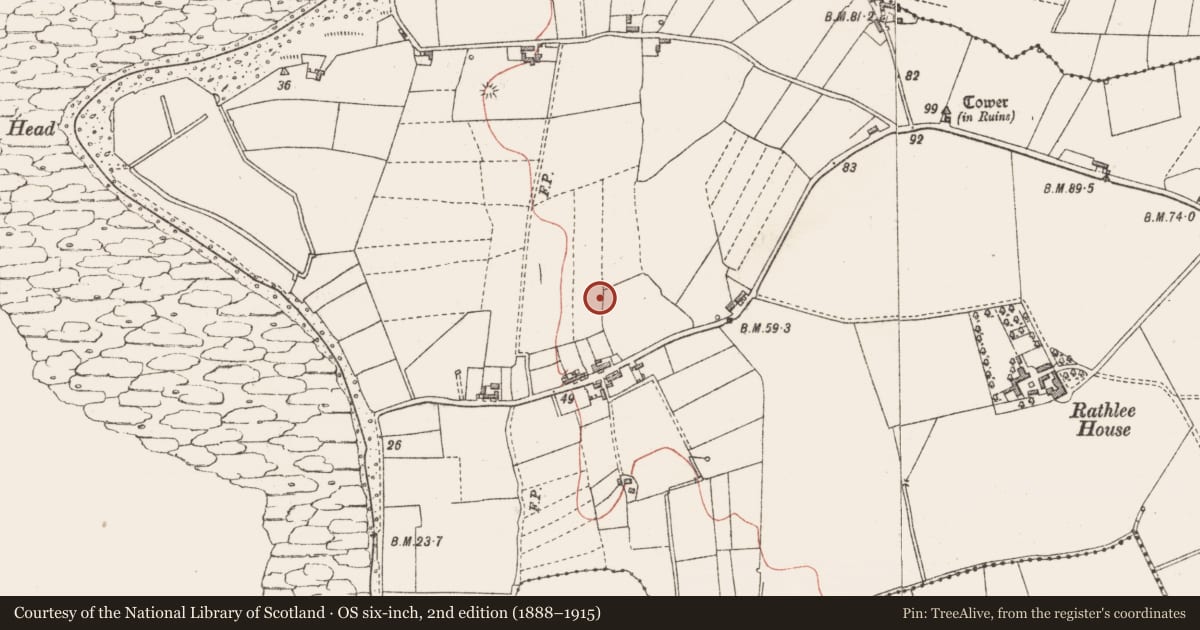 Ordnance Survey six-inch map, 2nd edition (1888–1915) covering the location of Enclosure, Rathlee, County Sligo, with a pin at the register's coordinates