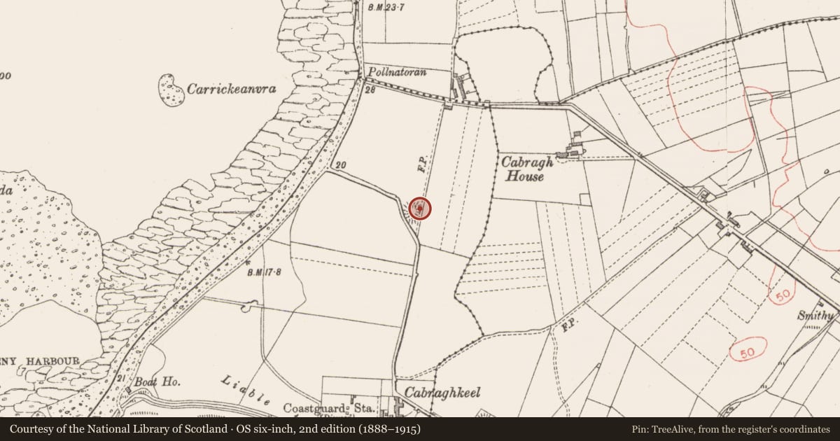 Ordnance Survey six-inch map, 2nd edition (1888–1915) covering the location of Ringfort - rath, Cabraghkeel, County Sligo, with a pin at the register's coordinates