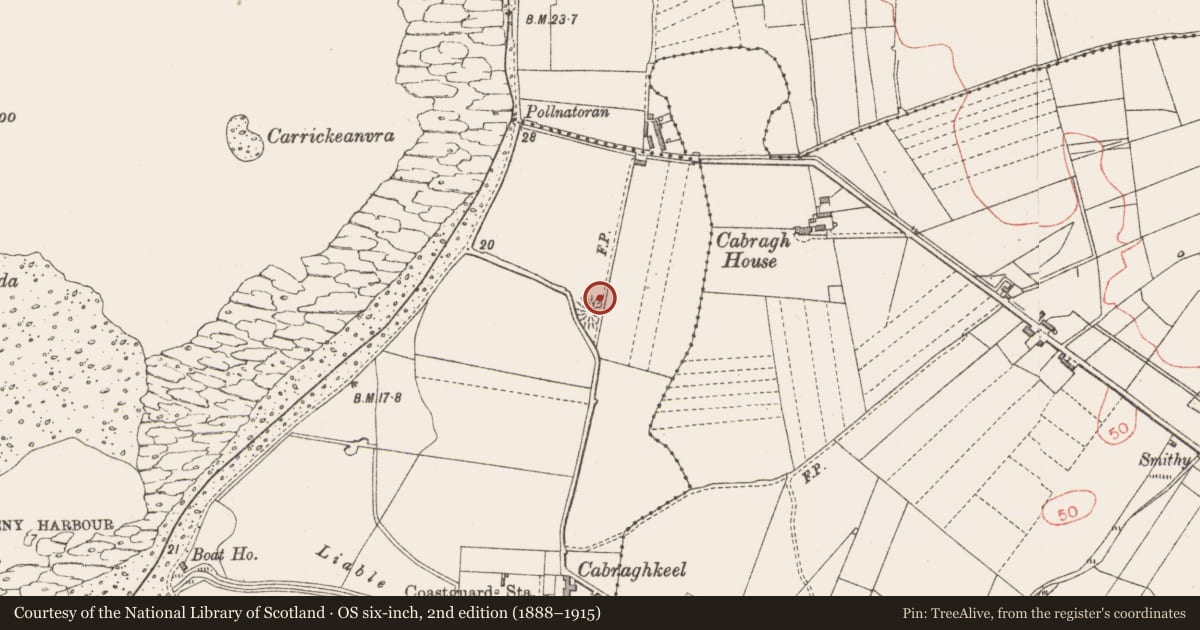 Ordnance Survey six-inch map, 2nd edition (1888–1915) covering the location of Souterrain, Cabraghkeel, County Sligo, with a pin at the register's coordinates