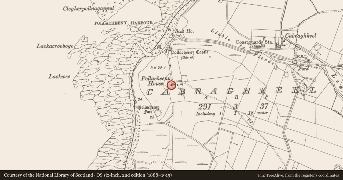 Ordnance Survey six-inch map, 2nd edition (1888–1915) covering the location of Ringfort - rath, Cabraghkeel, County Sligo, with a pin at the register's coordinates