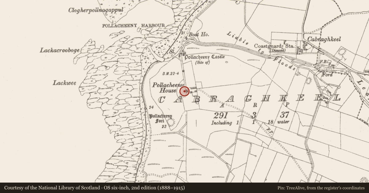 Ordnance Survey six-inch map, 2nd edition (1888–1915) covering the location of Souterrain, Cabraghkeel, County Sligo, with a pin at the register's coordinates
