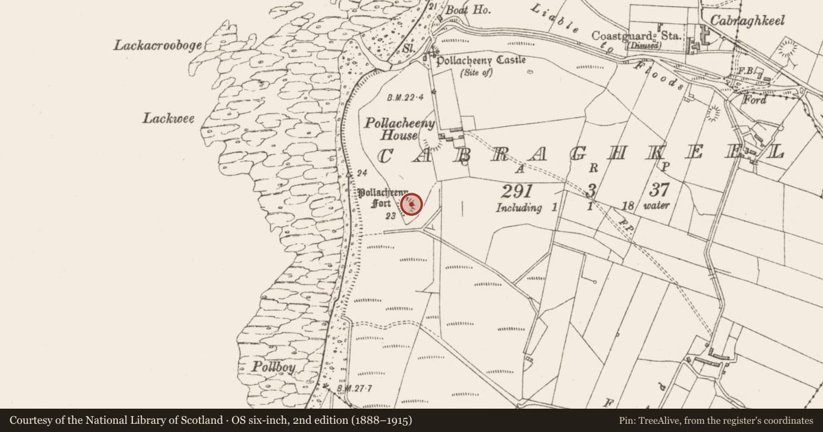 Ordnance Survey six-inch map, 2nd edition (1888–1915) covering the location of Ringfort - rath, Cabraghkeel, County Sligo, with a pin at the register's coordinates