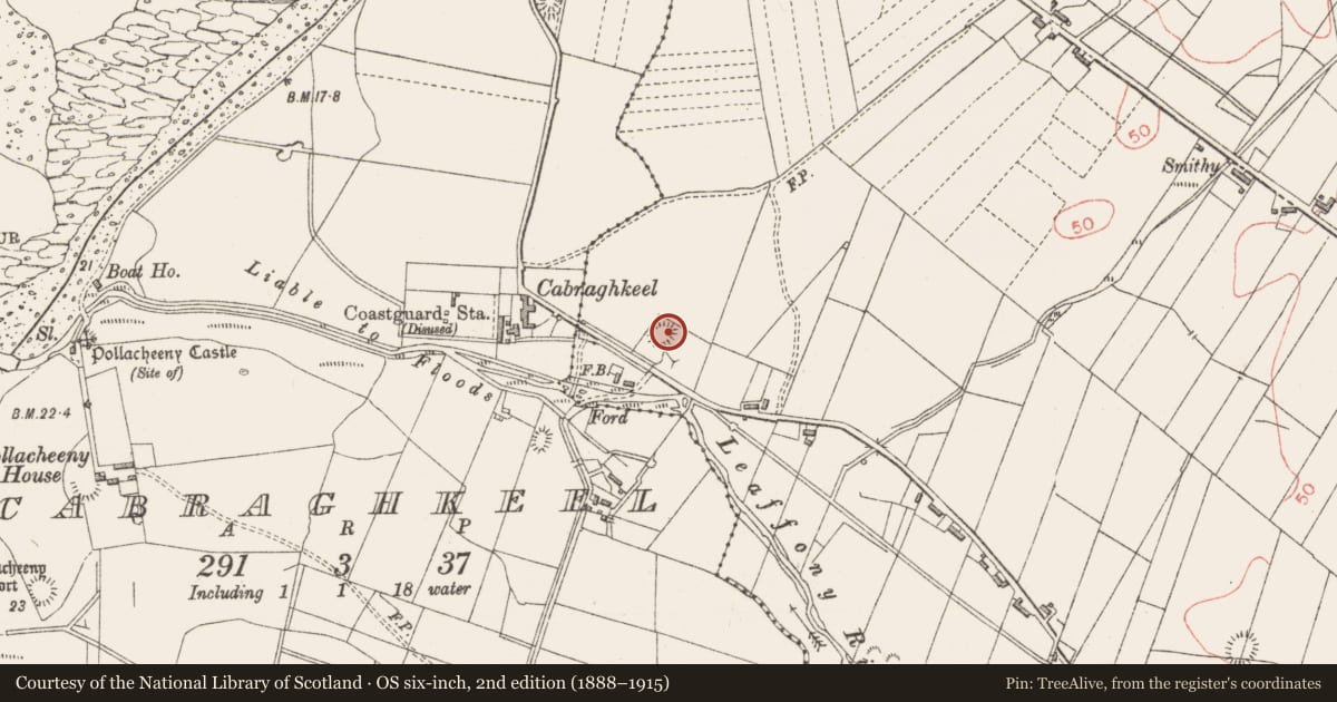 Ordnance Survey six-inch map, 2nd edition (1888–1915) covering the location of Ringfort - rath, Cabragh, County Sligo, with a pin at the register's coordinates
