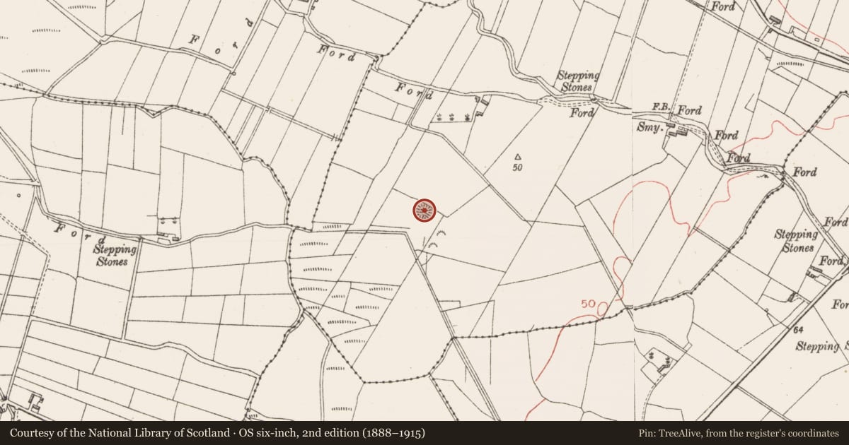 Ordnance Survey six-inch map, 2nd edition (1888–1915) covering the location of Ringfort - rath, Cabragh, County Sligo, with a pin at the register's coordinates