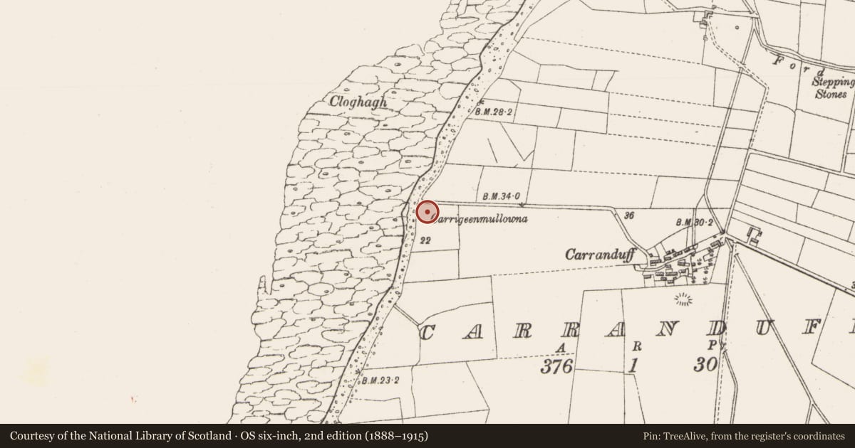 Ordnance Survey six-inch map, 2nd edition (1888–1915) covering the location of Megalithic tomb - wedge tomb, Carranduff, County Sligo, with a pin at the register's coordinates