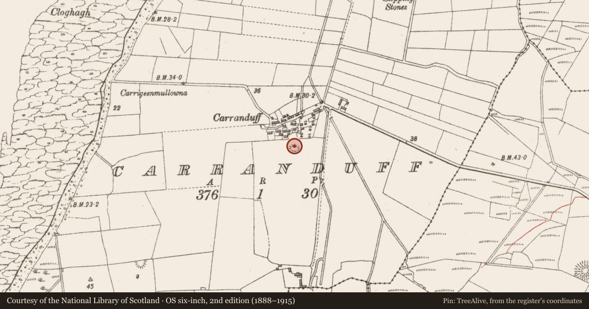 Ordnance Survey six-inch map, 2nd edition (1888–1915) covering the location of Enclosure, Carranduff, County Sligo, with a pin at the register's coordinates