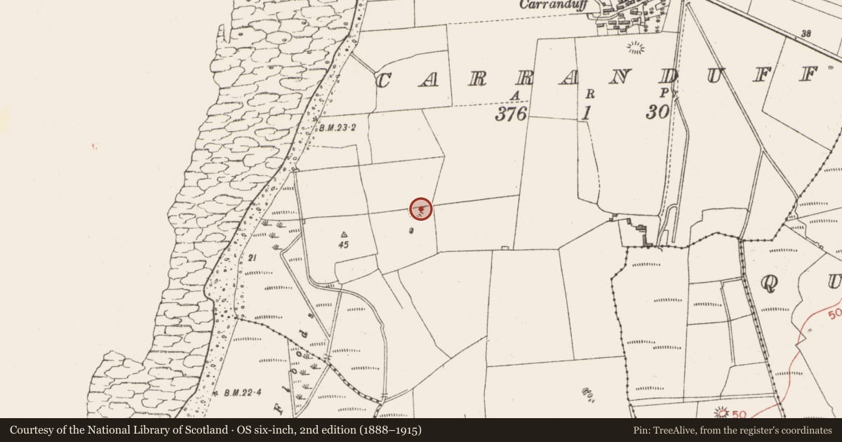 Ordnance Survey six-inch map, 2nd edition (1888–1915) covering the location of Souterrain, Carranduff, County Sligo, with a pin at the register's coordinates