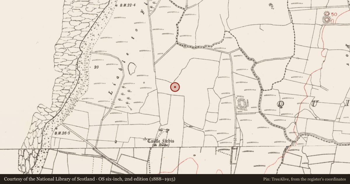Ordnance Survey six-inch map, 2nd edition (1888–1915) covering the location of Enclosure, Lackan, County Sligo, with a pin at the register's coordinates