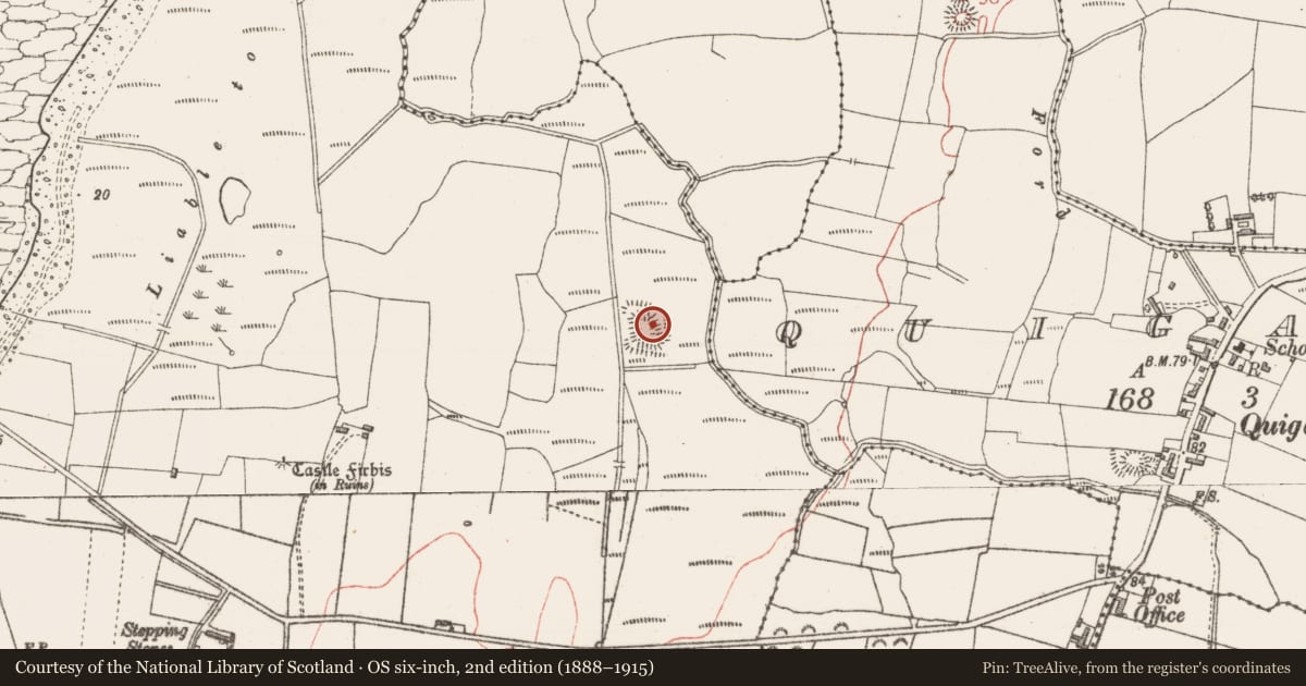 Ordnance Survey six-inch map, 2nd edition (1888–1915) covering the location of Moated site, Lackan, County Sligo, with a pin at the register's coordinates
