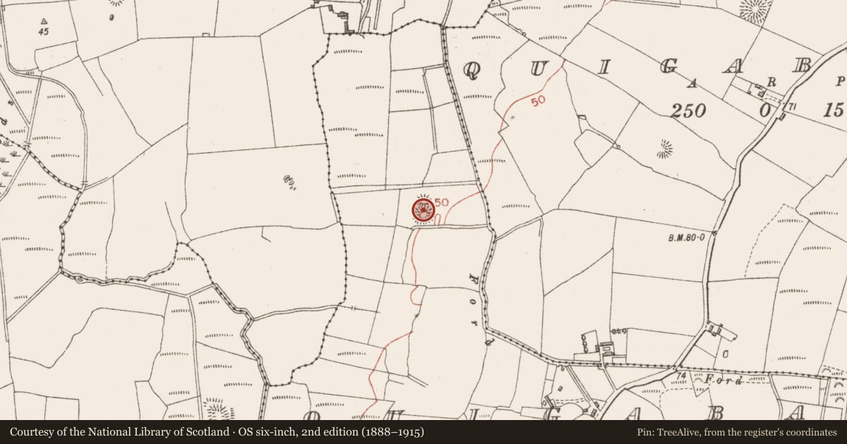 Ordnance Survey six-inch map, 2nd edition (1888–1915) covering the location of Enclosure, Quigabar, County Sligo, with a pin at the register's coordinates
