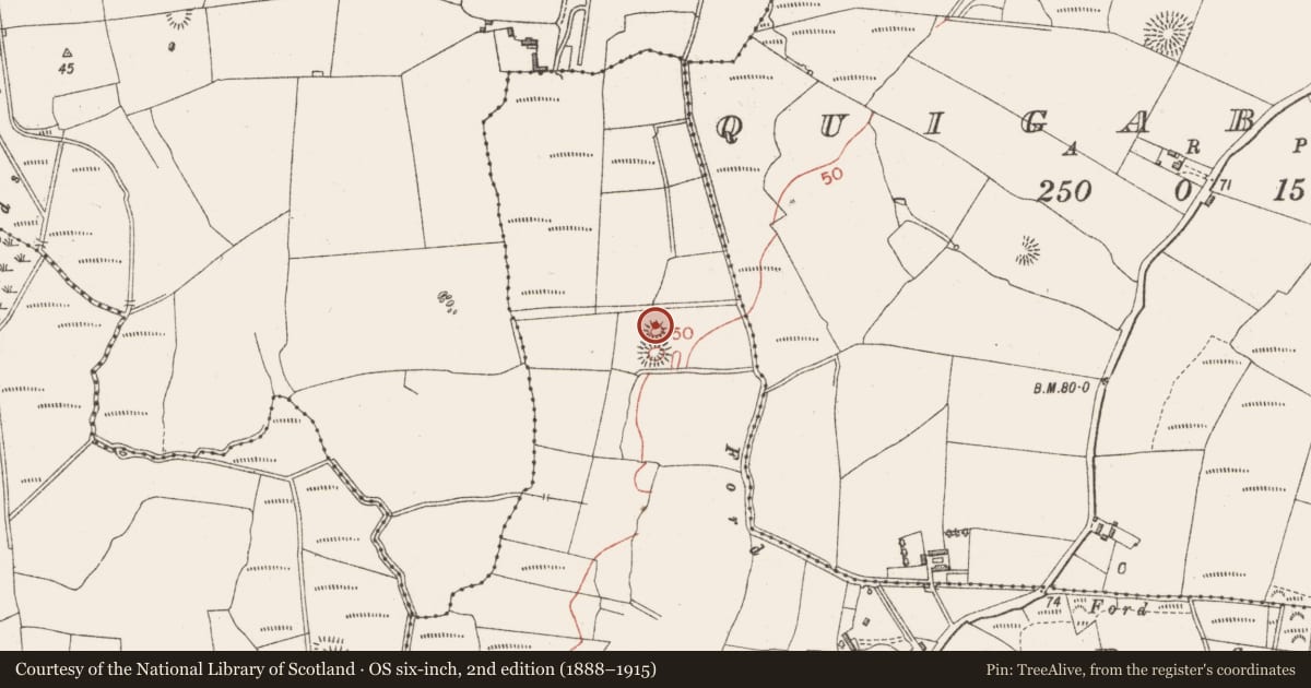 Ordnance Survey six-inch map, 2nd edition (1888–1915) covering the location of Enclosure, Quigabar, County Sligo, with a pin at the register's coordinates