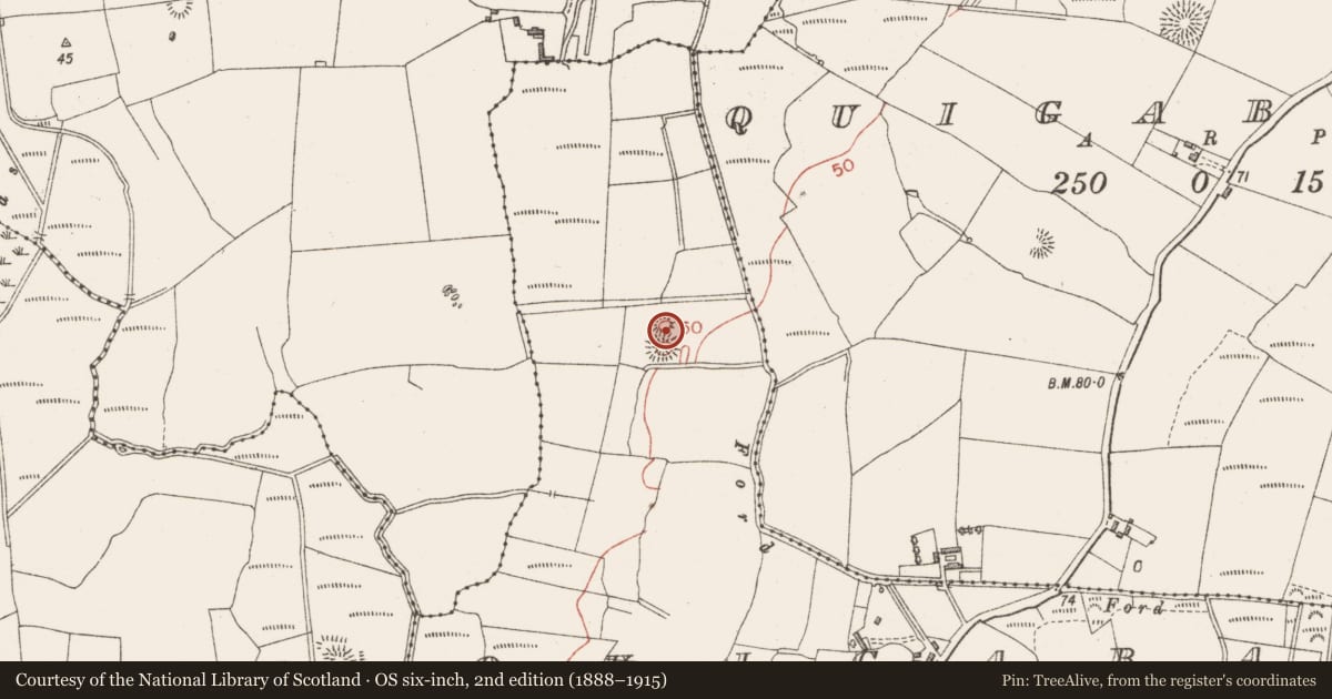 Ordnance Survey six-inch map, 2nd edition (1888–1915) covering the location of House - indeterminate date, Quigabar, County Sligo, with a pin at the register's coordinates
