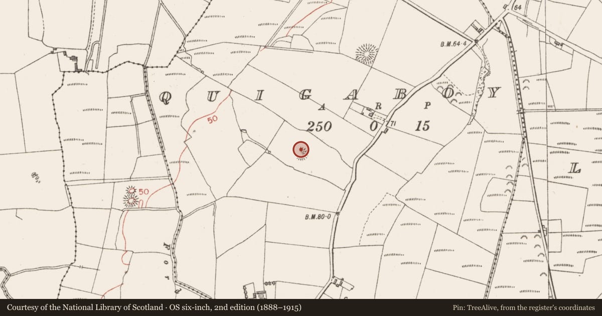 Ordnance Survey six-inch map, 2nd edition (1888–1915) covering the location of Ringfort - rath, Quigaboy, County Sligo, with a pin at the register's coordinates