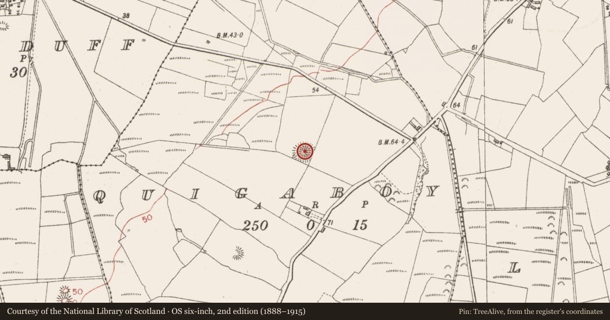 Ordnance Survey six-inch map, 2nd edition (1888–1915) covering the location of Ringfort - rath, Quigaboy, County Sligo, with a pin at the register's coordinates