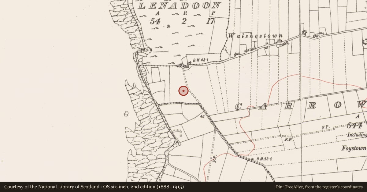 Ordnance Survey six-inch map, 2nd edition (1888–1915) covering the location of Church, Carrowmacbryan, County Sligo, with a pin at the register's coordinates