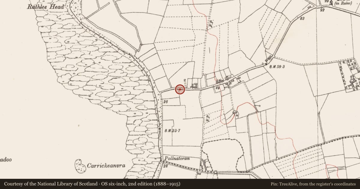Ordnance Survey six-inch map, 2nd edition (1888–1915) covering the location of Mound, Rathlee, County Sligo, with a pin at the register's coordinates